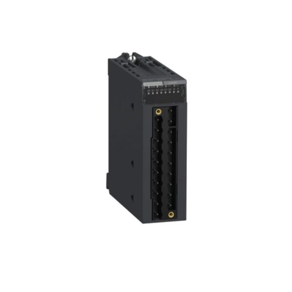 Schneider Electric BMXEAE0300