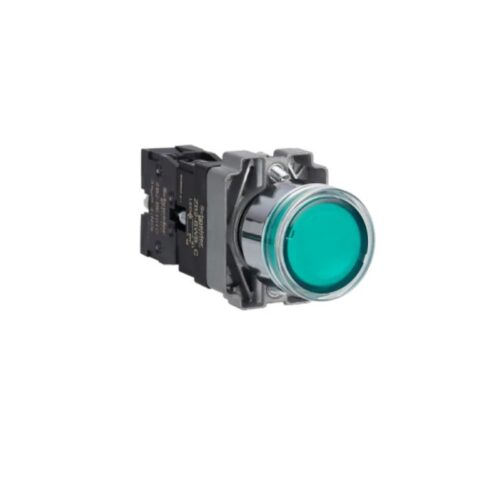 Schneider Electric XB2BW33B1C